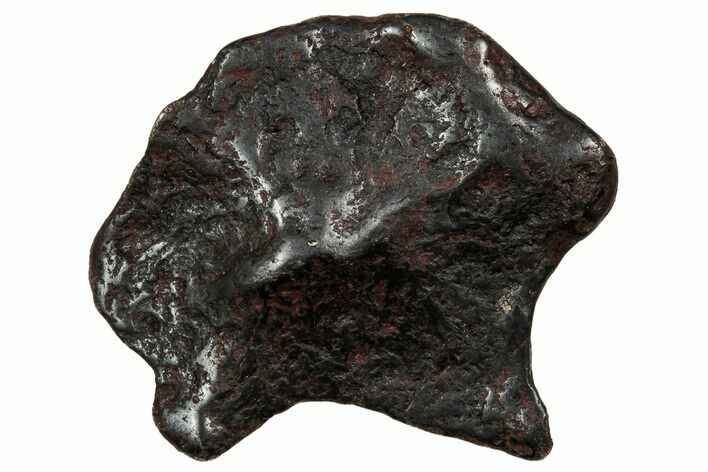 Canyon Diablo Iron Meteorite ( g) - Arizona #336003